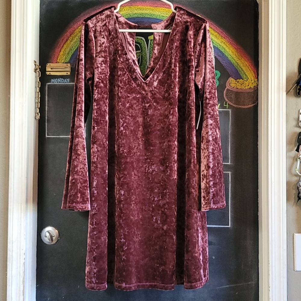 a.n.a crushed velvet dress